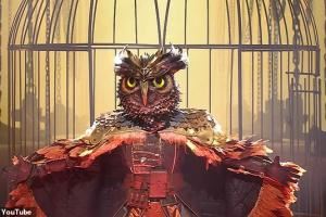 邮报:阿尔德维雷尔德疑似参加比利时“蒙面歌王”,本人并未否认